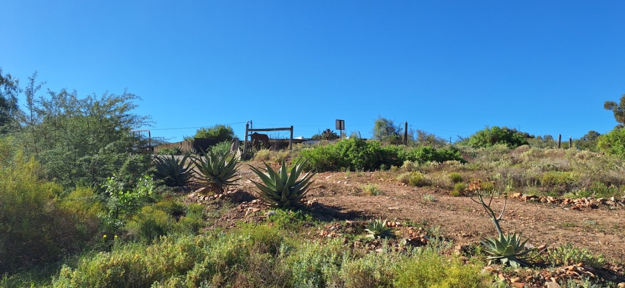  Bedroom Property for Sale in Van Wyksdorp Western Cape
